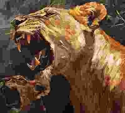 Portfolio Taxonomy Image