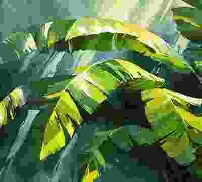 Portfolio Taxonomy Image