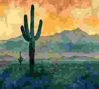 Portfolio Taxonomy Image